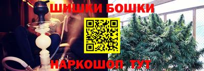 СК Сланцы