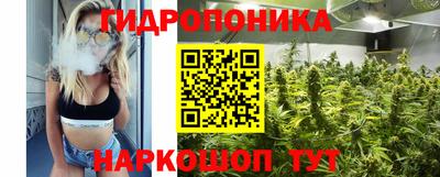 СК Сланцы