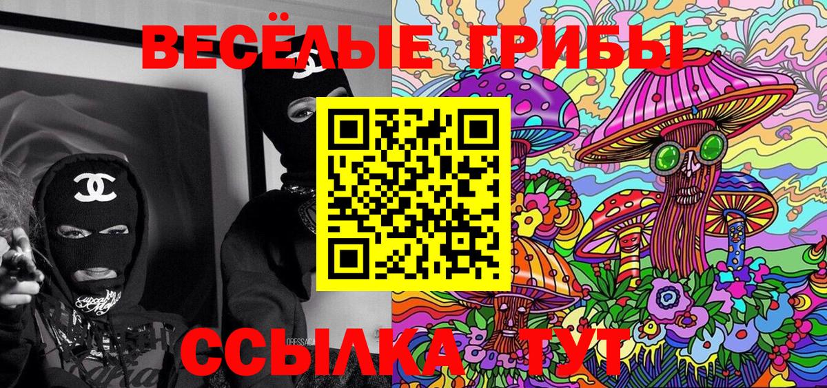 Вольск  сколько стоит  Вход с VPN  Галлюциногенные грибы Psilocybe 